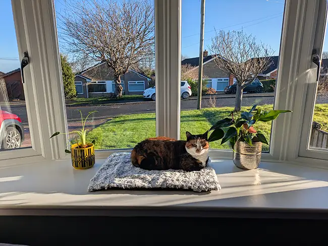 Triple glazing img